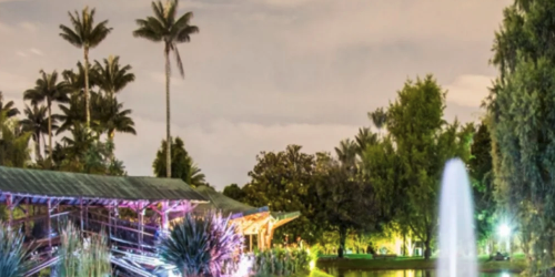 Captura de Pantalla 2022-01-10 a la(s) 3.39.24 a.m.