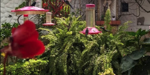 Jardín Encantado – San Francisco