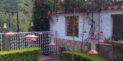 Jardín Encantado – jardinencantado.net