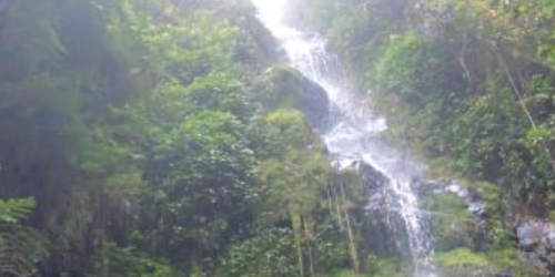 Parque Los Tunos- San Antonio
