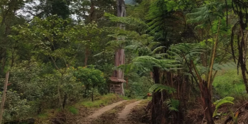 Parque Verde y Agua – Fusagasugá.