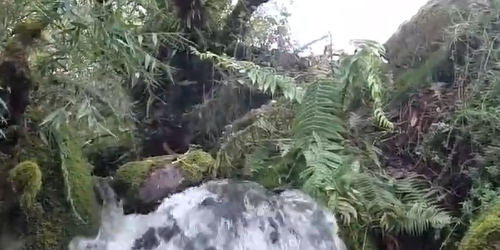 Choconta – Reserva Natural Suchequincha.