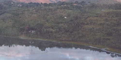 Pitalito – – Huila