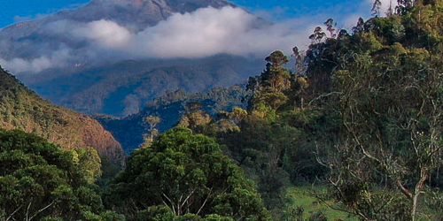 Reserva Ukuku – Ibague