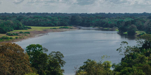 Zona rural Puerto Nariño